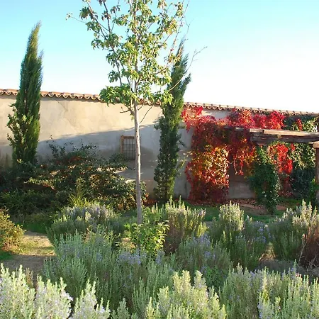 La Hidalga ホテル